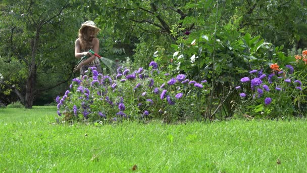 Χωρικός γυναίκα σε φόρεμα και καπέλο πότισμα aster μπλε λουλούδια στον κήπο πίσω αυλή. 4k — Αρχείο Βίντεο