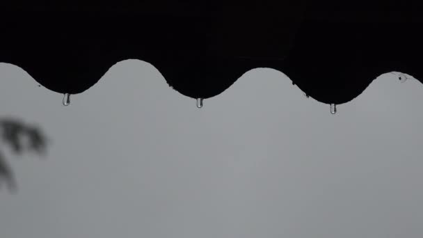 Zamknąć krople deszczu kroplówka z czarnego łupku krawędź dachu w dół. 4K — Wideo stockowe
