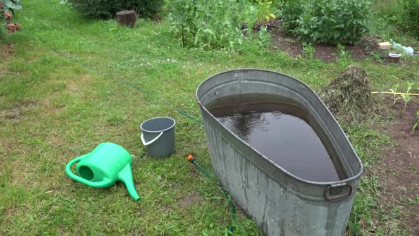 Regendruppels Rain in Bowl vol water en rond in de tuin. 4k — Stockvideo