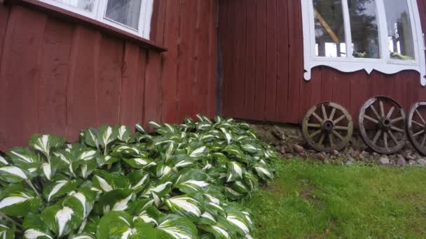 Roues de chariot rétro près de la maison en bois et gouttes de pluie éclaboussent du toit. 4K — Video