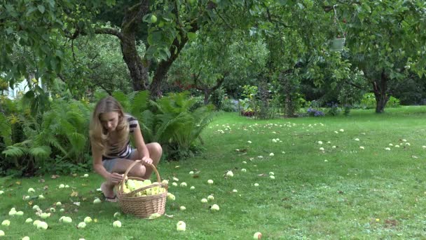 Mulher de jardineiro jovem em calças curtas reúnem frutos de maçã maduros de colheita abaixo da árvore à cesta de vime. 4K — Vídeo de Stock