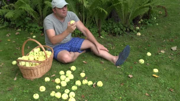 L'uomo giardiniere siede vicino a cesto pieno di frutta matura e mangia mela sotto l'albero in estate. 4K — Video Stock