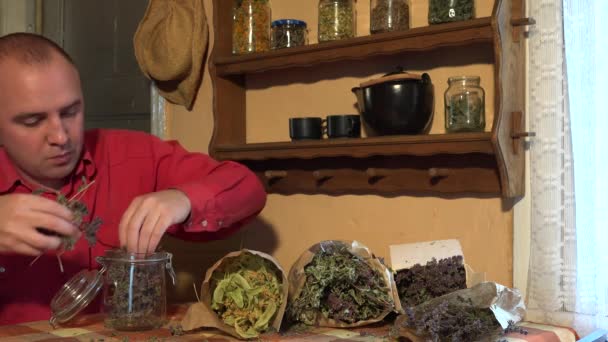 Herbalist kille sätta torkad mejram örter i glasburk. 4k — Stockvideo