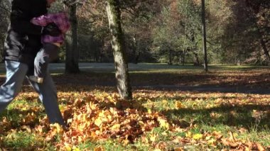 baba bebek sonbahar Park renkli yaprakları ile kapsar. 4k