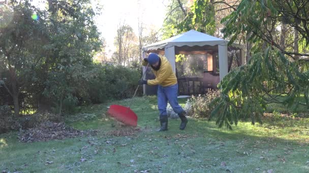 Jardineiro em roupas quentes ancinho folhas na grama do jardim fosco no outono. 4K — Vídeo de Stock