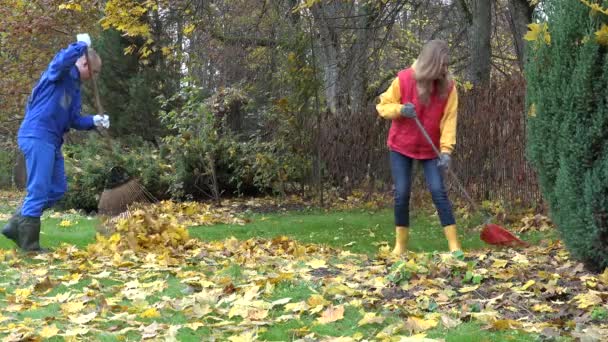 Familj man och kvinna krattar löv tillsammans i hushåll trädgård trädgård. 4k — Stockvideo