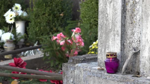 Pedra de sepultura cheia de flores e velas no dia de todos os mortos. 4K — Vídeo de Stock