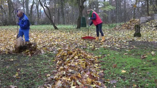 Pareja en ropa colorida rastrillo hojas de otoño en el jardín. 4K — Vídeos de Stock