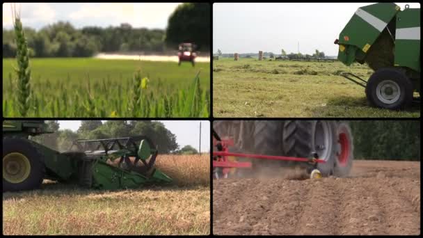 Mező spray. Fű a bálázzák. A betakarítás. Termékenyít. Videó-kollázs — Stock videók