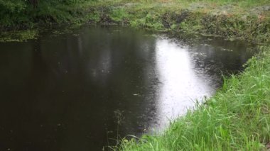 Yaz aylarında yağmurda yüzeyden kırsal gölet üzerinde daireler. 4k