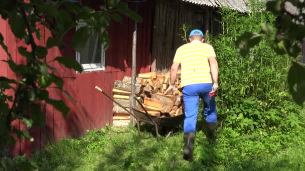 Парень с фермы выгружает дрова из ржавой тачки. 4K — стоковое видео
