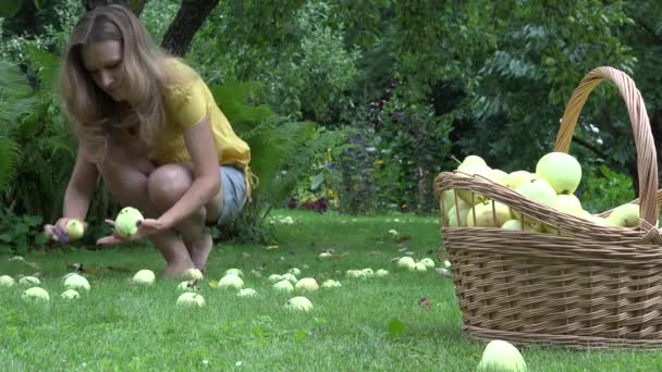 Cesta llena de frutas maduras y jardinero mujer niña recoger manzanas bajo el árbol frutal. 4K — Vídeos de Stock