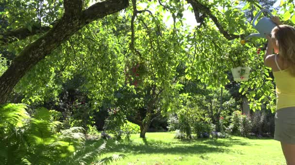 Frau gießt Blumen in Töpfen, die an den Ästen hängen. 4k — Stockvideo