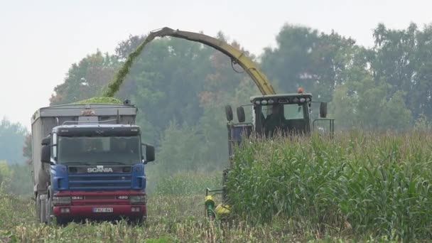 Boer station harvester machine knippen van maïs en laden in de vrachtwagen aanhangwagen. 4k — Stockvideo