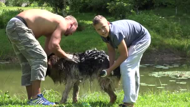 Ojciec i syn myje niemieckiego pasterza z szamponem na zewnątrz. 4K — Wideo stockowe