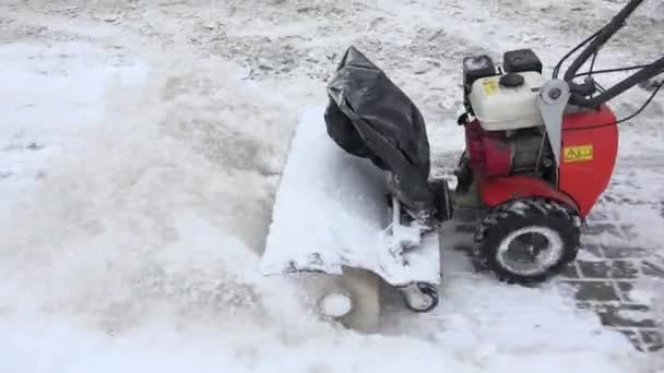 Зимой снегоочиститель очищает тротуар от снега. Портативный. 4K — стоковое видео