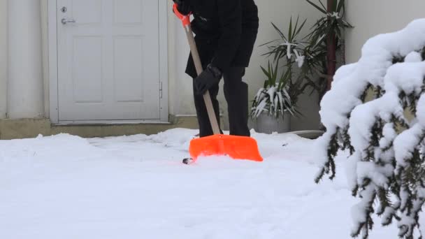 Jeune homme propre possède chemin de la maison contre la neige en hiver. 4K — Video