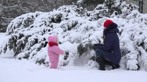 赤ちゃん子供を持つ女性は、ウィンター ガーデンでブッシュの枝から雪を振り払います。4 k — ストック動画