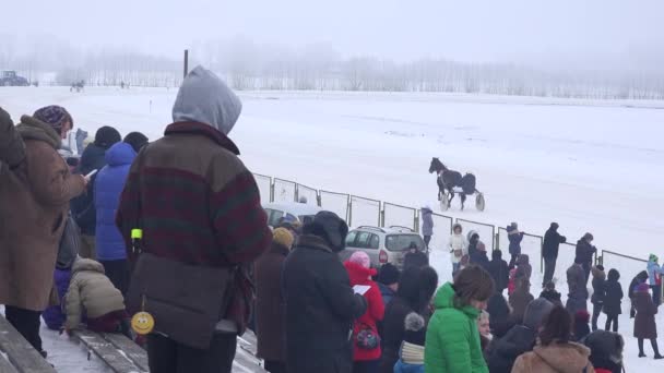 Зрители зрителей и скаковых лошадей в ипподроме зимой. 4K — стоковое видео