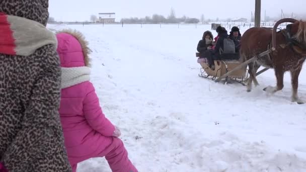 Mère et père avec leur fille apprécient la calèche tirée par le cheval en hiver. 4K — Video