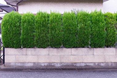 Sokak duvarı arka planı, endüstriyel arka plan, depo tuğla duvarlı boş Grunge şehir sokağı