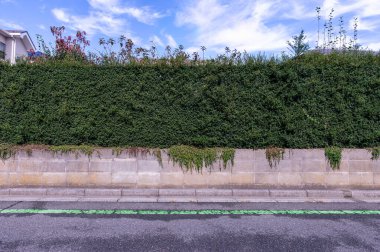 Sokak duvarı arka planı, endüstriyel arka plan, depo tuğla duvarlı boş Grunge şehir sokağı