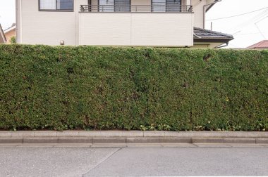 Sokak duvarı arka planı, endüstriyel arka plan, depo tuğla duvarlı boş Grunge şehir sokağı