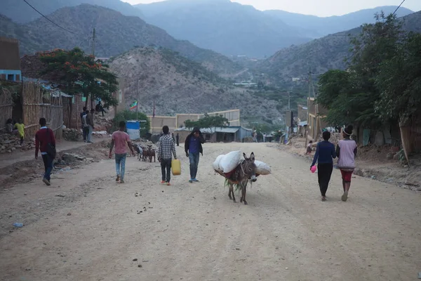 Tigray Etiópia 2018 Augusztus Szamár Gyalogosok Egy Kisvárosban Etiópia Tigray — Stock Fotó