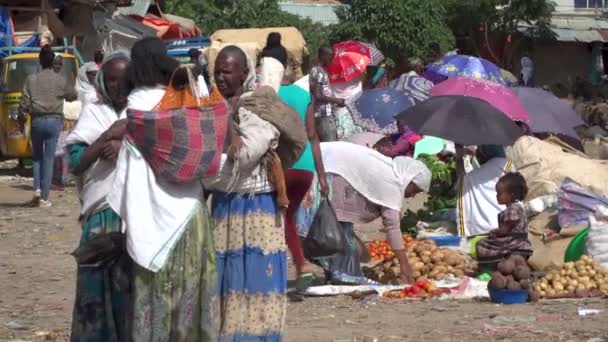 北アフリカの果物市場 — ストック動画