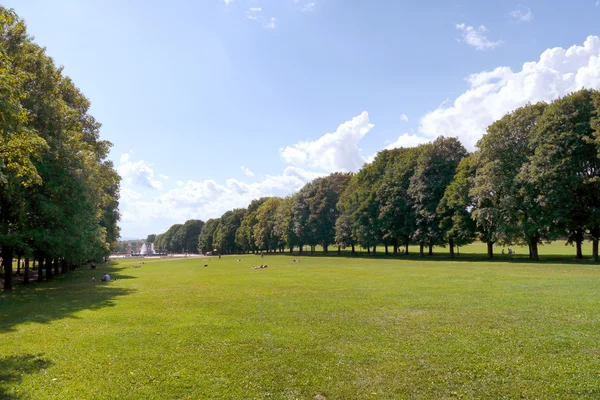 Sunny zelený park v severní Evropě — Stock fotografie