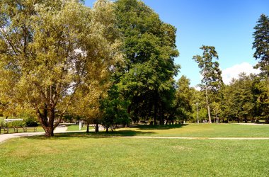 Yaz aylarında Avrupa'nın yeşil park