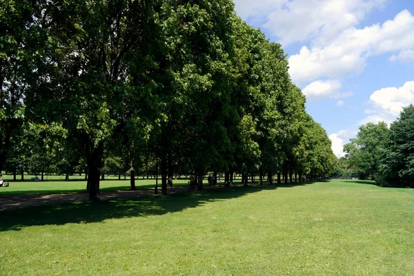 Zelený park v Evropě v létě — Stock fotografie