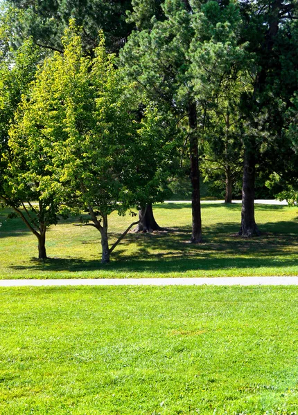 Zelený park v Evropě v létě — Stock fotografie