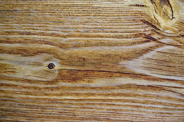 Detalle de grano de madera abstracta — Foto de Stock