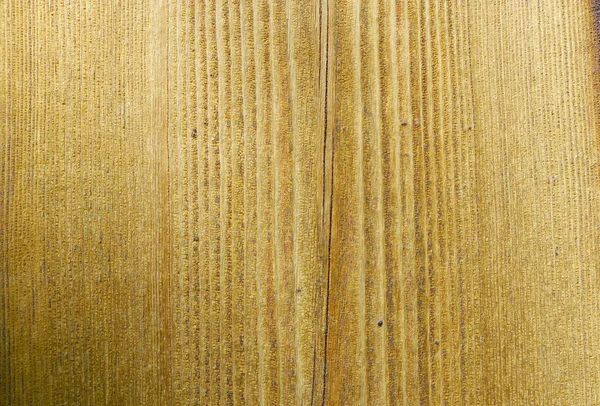 Detalle de grano de madera abstracta —  Fotos de Stock