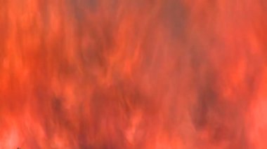 kırmızı sıcak alev alev alev yanan bush ateşle