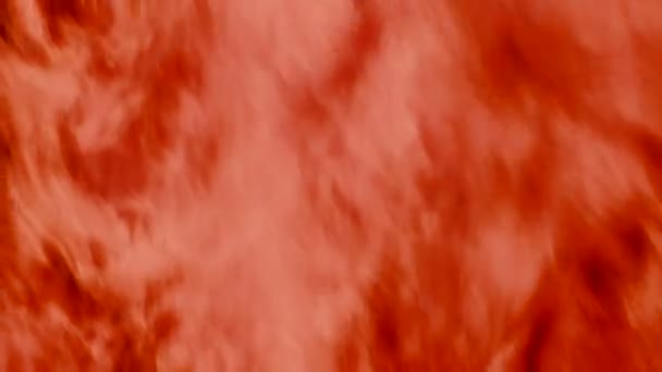 Fogo arbusto ardente com chamas quentes vermelhas — Vídeo de Stock