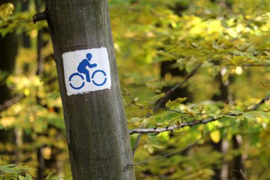 Bisiklet yolu işaret bir ağaç üzerinde
