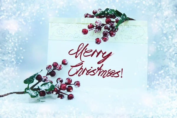 Winter background, red berries on the frozen branches covered with hoarfrost — Stock Photo, Image