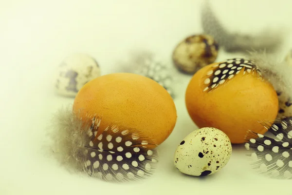 Colorful easter eggs with feathers on white. — Stock Photo, Image