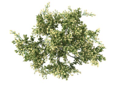 Sarı çiçekli ağaç 3D render