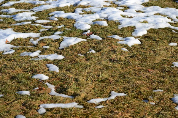 Close Smeltende Sneeuw Achtergrond — Stockfoto