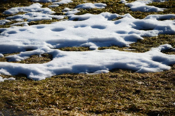 Close Smeltende Sneeuw Achtergrond — Stockfoto