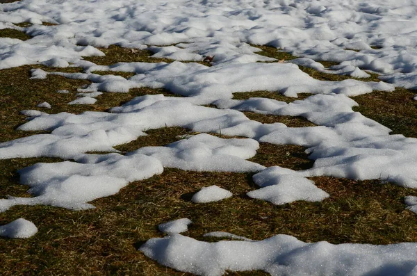 Fechar Derretendo Fundo Neve — Fotografia de Stock