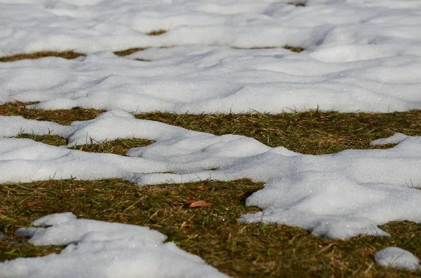 Fechar Derretendo Fundo Neve — Fotografia de Stock