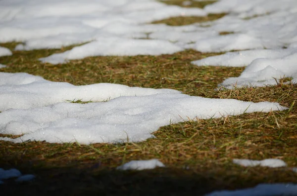 Nahaufnahme Schmelzender Schnee Hintergrund — Stockfoto