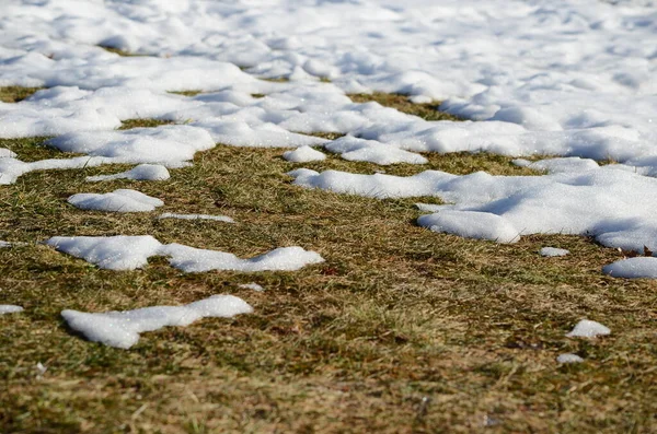 Fechar Derretendo Fundo Neve — Fotografia de Stock