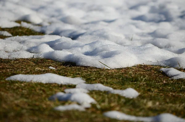 Close Smeltende Sneeuw Achtergrond — Stockfoto