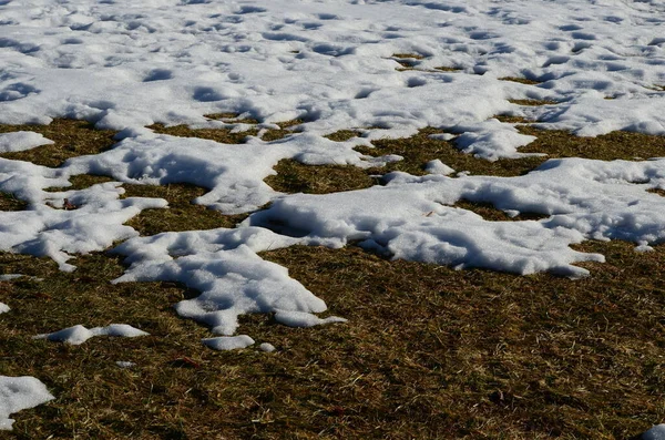 Fechar Derretendo Fundo Neve — Fotografia de Stock