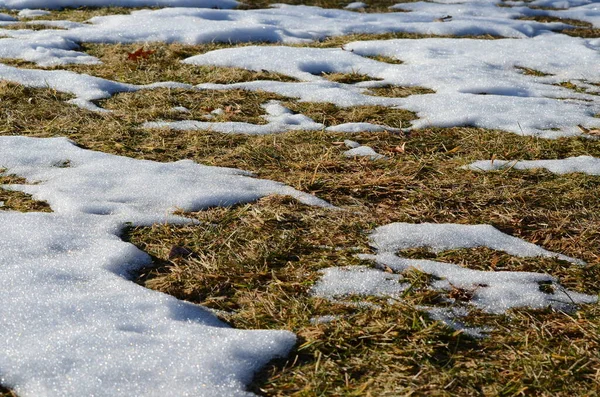 Fechar Derretendo Fundo Neve — Fotografia de Stock